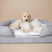 A puppy enjoying the comfort of the Paw PupLounge™ Memory Foam Bolster Dog Bed & Topper, adding a cute and inviting touch