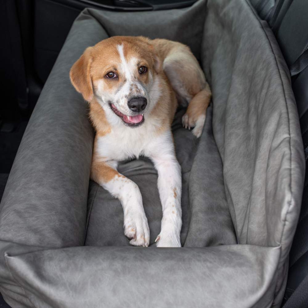 A relaxed dog is lying in the Paw PupProtector™ Faux Leather Memory Foam Dog Car Bed - Slate Gray Portable Dog Bed, providing ample space and comfort