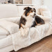 A relaxed tricolor dog is lying on the Paw PupProtector™ Waterproof Couch Lounger - Polar White on a white couch