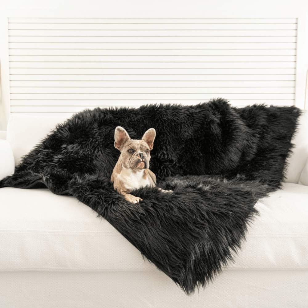 A small French Bulldog is sitting on a couch covered with a Paw PupProtector™ Waterproof Throw Blanket - Midnight Black Faux Fur Dog Blanket