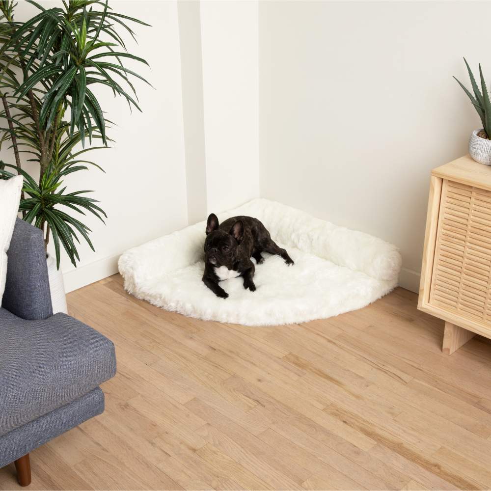 A small black dog with white markings is lying on the Polar White Paw PupRug™ Memory Foam Corner Dog Bed, situated in a corner near a plant and a wooden cabinet