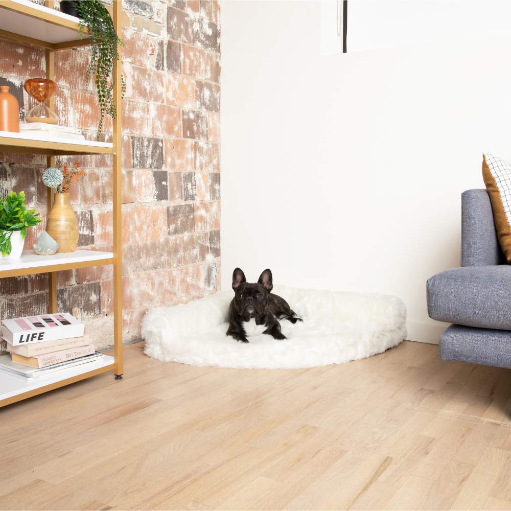 A small black dog with white markings is lying on the Polar White Paw PupRug™ Memory Foam Corner Dog Bed near a rustic brick wall and a blue couch