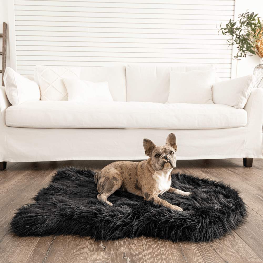 A small brown and white dog is lying on the Curve Midnight Black Paw PupRug Faux Fur Orthopedic Dog Bed in front of a white sofa