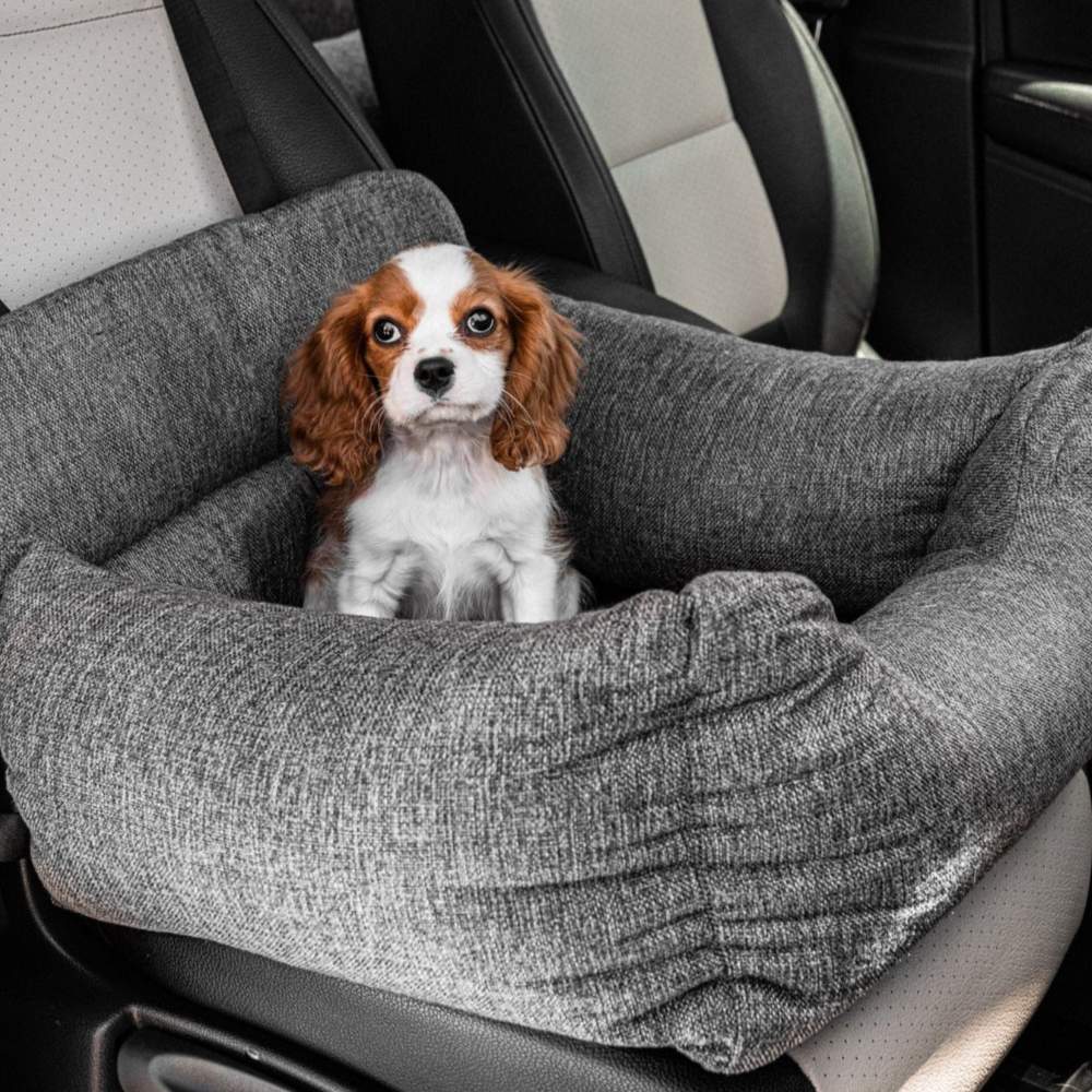 A small brown and white puppy sits in the front seat of a car on a Paw PupProtector™ Memory Foam Dog Car Bed - Single Seat, looking forward