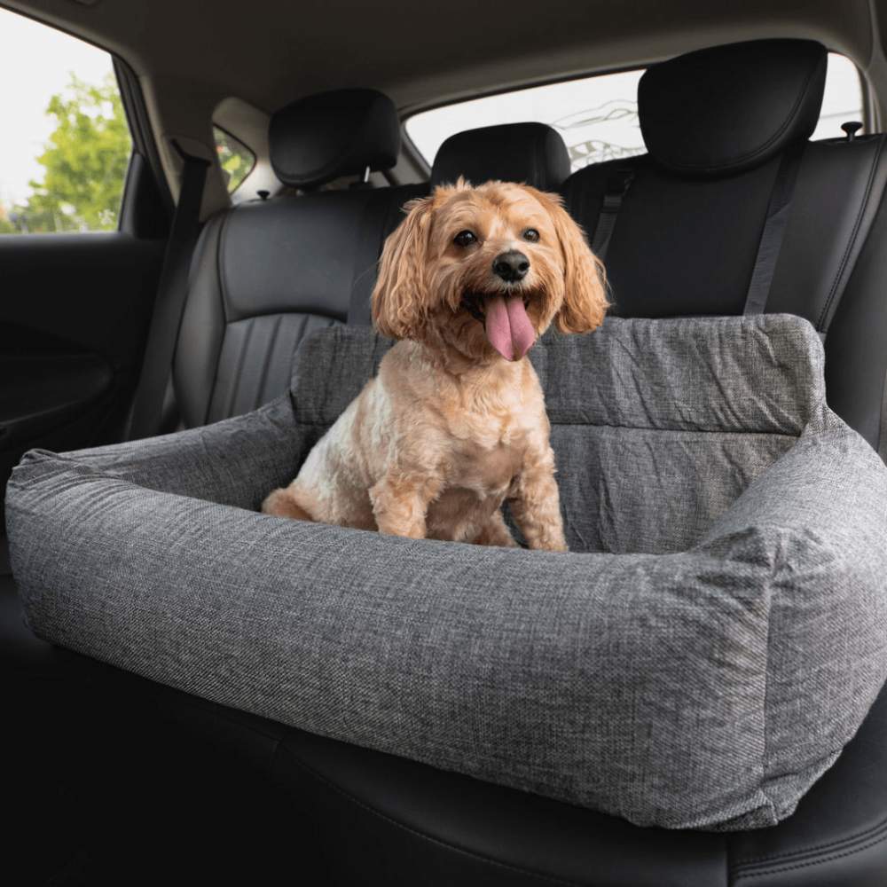 A small brown dog with curly fur sits happily in the back seat of a car on a Paw PupProtector™ Memory Foam Dog Car Bed - Double Seat