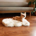 A small dog comfortably lying on a Curve White with Brown Accents Paw PupRug Faux Fur Orthopedic Dog Bed in a modern living room