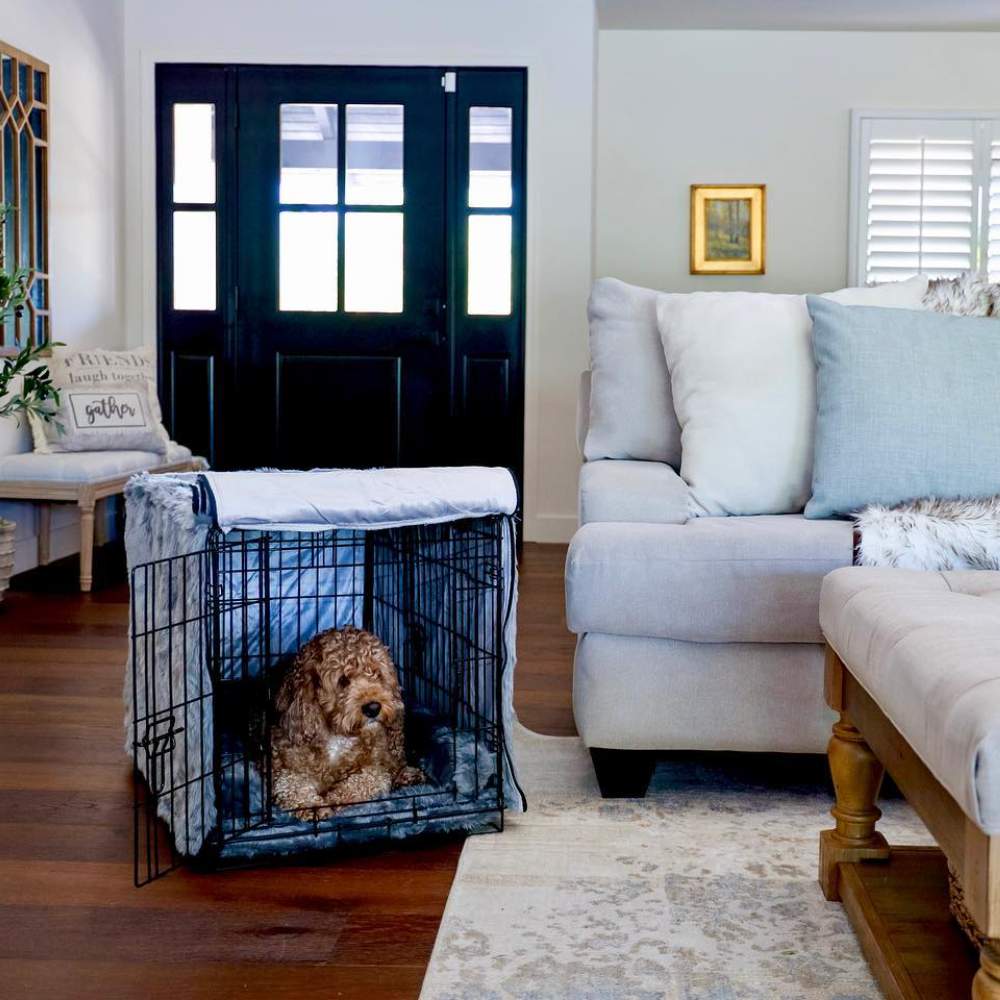 A small dog comfortably sits inside a black wire crate with a grey padded interior in a cozy living room, featuring the Paw Upgrade Your Dog Crate Kit - Charcoal Grey