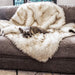 A small dog is lying down on a sofa adorned with the Paw PupProtector™ Waterproof Throw Blanket - White with Brown Accents