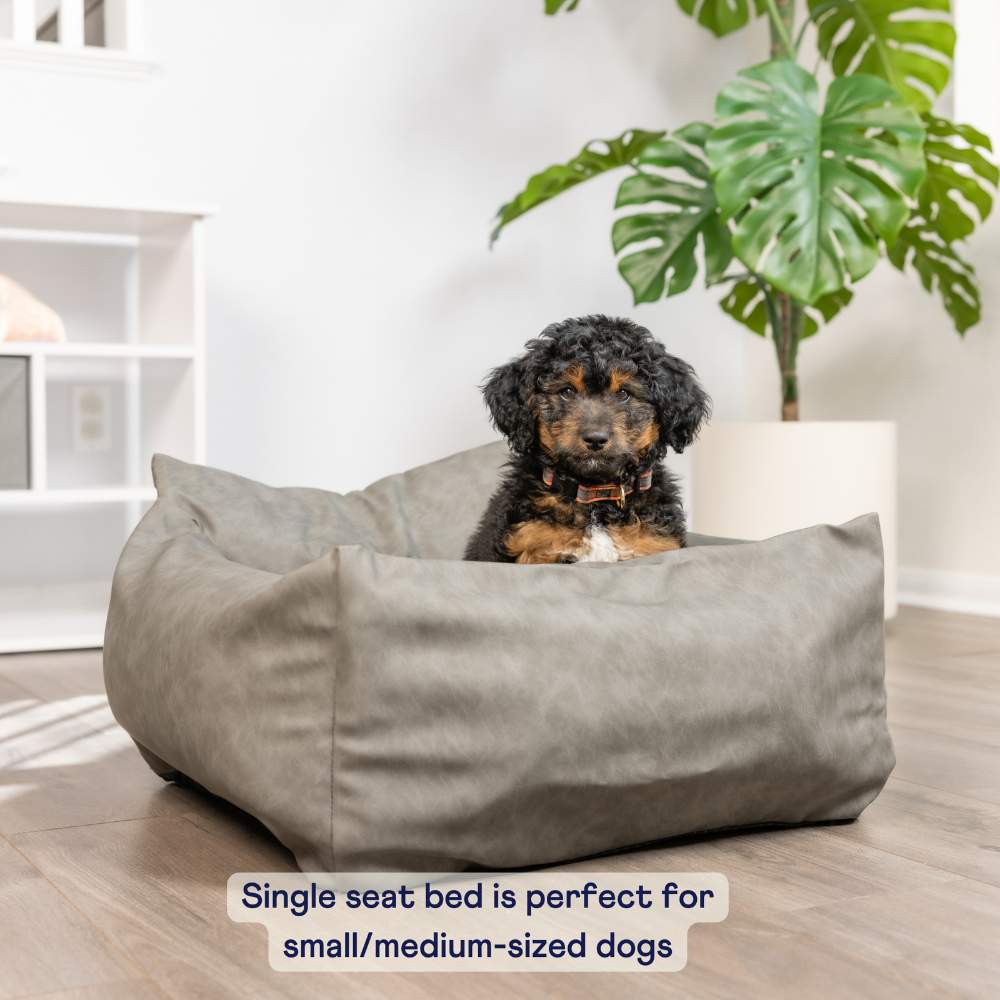 A small dog is resting in the Paw PupProtector™ Faux Leather Memory Foam Dog Car Bed - Slate Gray Single Seat, ideal for small medium-sized dogs