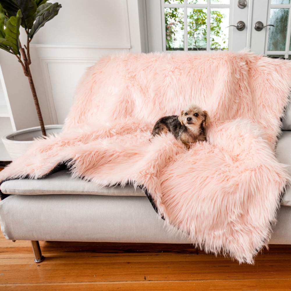 A small dog is resting on a sofa draped with the Paw PupProtector™ Waterproof Throw Blanket - Blush Pink Plush Dog Blankets