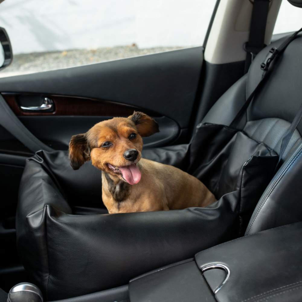 A small dog is sitting happily in the front seat, enjoying the comfort of the Paw PupProtector™ Faux Leather Memory Foam Dog Car Bed - Black Single Seat Car Dog Bed