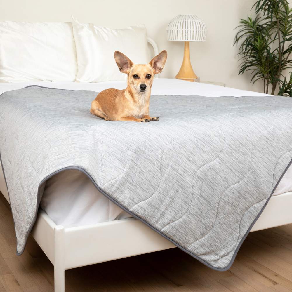 A small dog is sitting on a bed covered with the Paw PupChill™ Cooling Waterproof Blanket - Arctic Grey