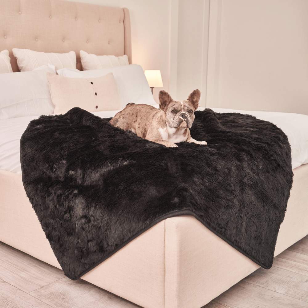 A small dog is sitting on a bed covered with the Paw PupProtector™ Short Fur Waterproof Throw Blanket - Midnight Black