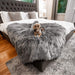 A small dog is sitting on a bed covered with the Paw PupProtector™ Waterproof Throw Blanket - Charcoal Grey Puppy Blanket