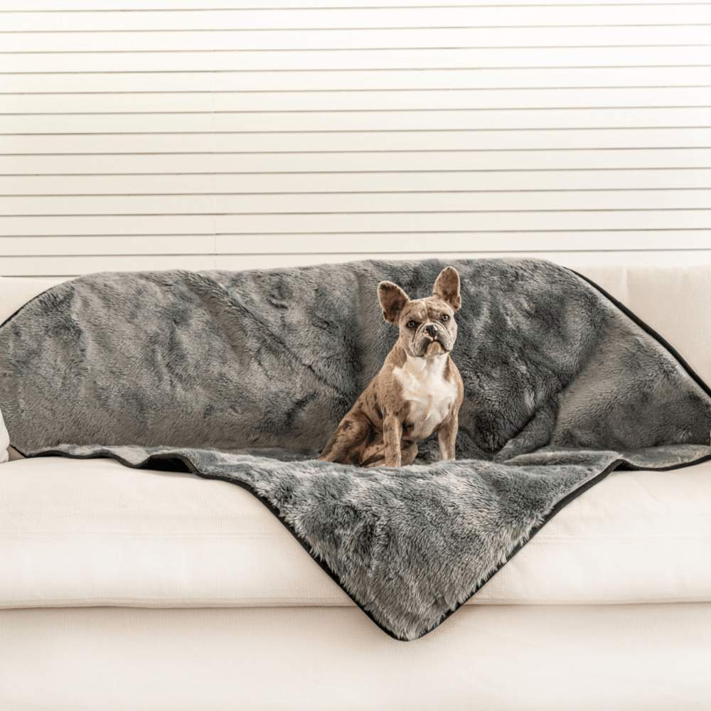 A small dog is sitting on a couch covered with the Paw PupProtector™ Short Fur Waterproof Throw Blanket - Charcoal Grey Dog Bed Blankets