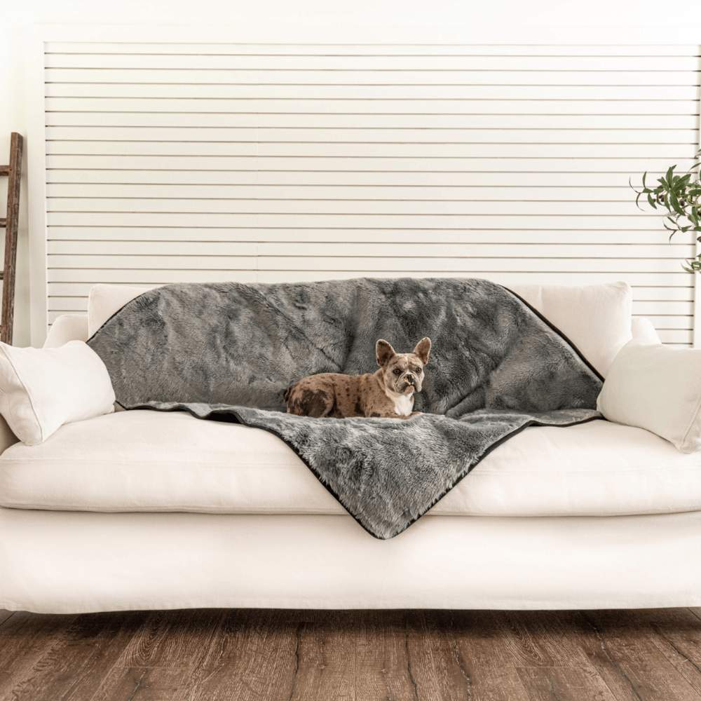 A small dog is sitting on a couch covered with the Paw PupProtector™ Short Fur Waterproof Throw Blanket - Charcoal Grey in a cozy living room