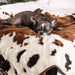 A small dog is sleeping on a bed covered with the Paw PupProtector™ Waterproof Throw Blanket - Brown Faux Cowhide Blanket For Dog