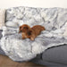 A small dog lies on a couch covered with the Paw PupProtector™ Waterproof Throw Blanket - Ultra Plush Arctic Fox