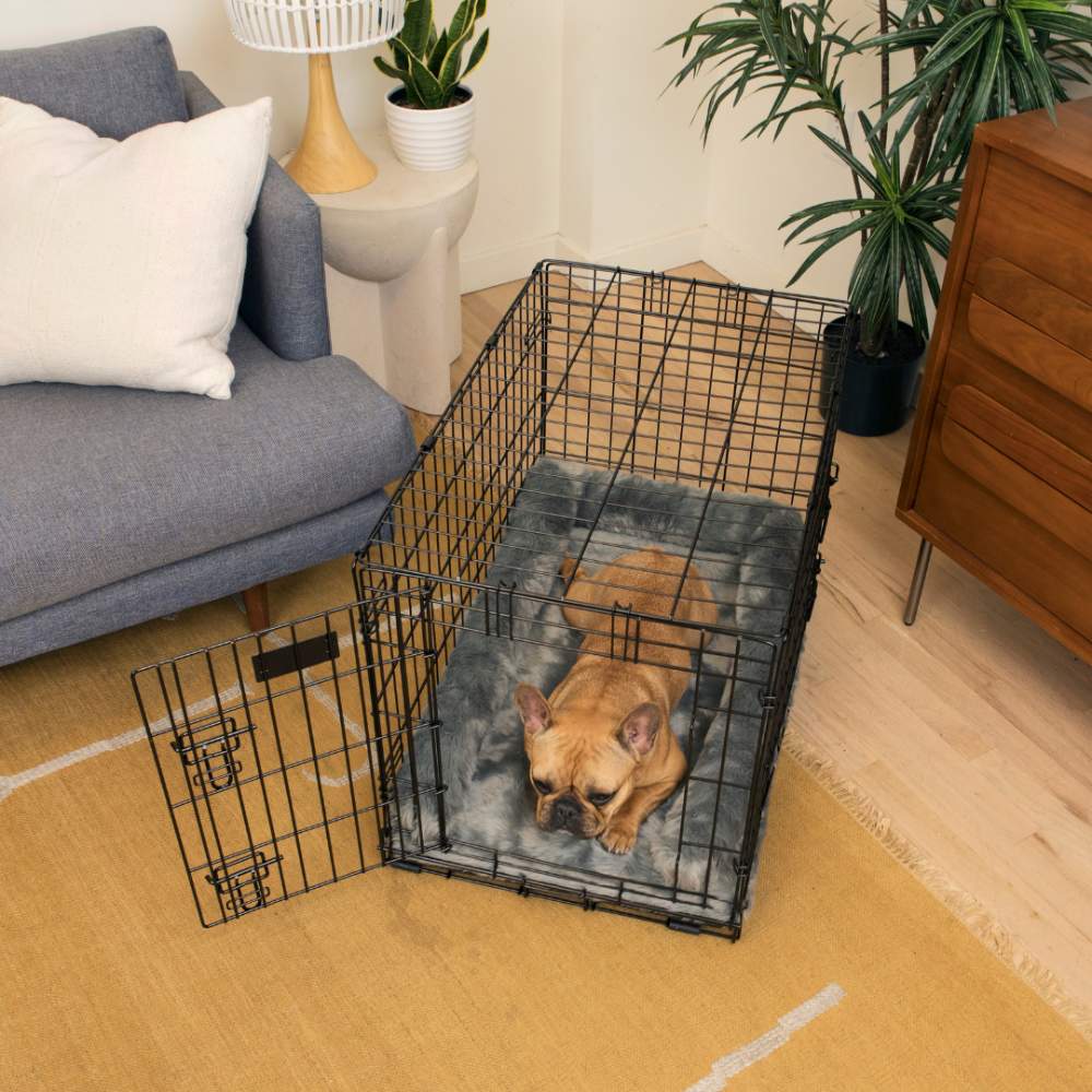 A small dog relaxes in a black wire crate on a plush grey bed, part of the Paw Upgrade Your Dog Crate Kit - Charcoal Grey