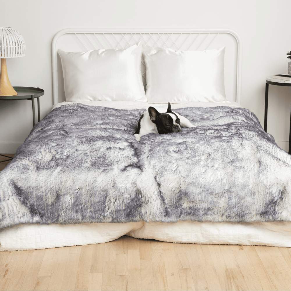 A small dog rests on a bed covered with the Paw PupProtector™ Waterproof Throw Blanket - Ultra Plush Arctic Fox