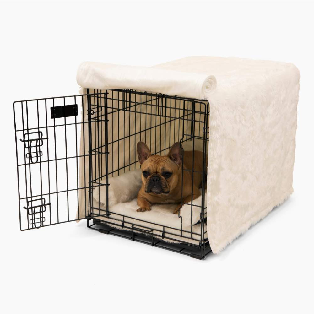 A small dog sits inside a black wire crate covered with white fabric, showcasing the Paw Upgrade Your Dog Crate Kit - Polar White