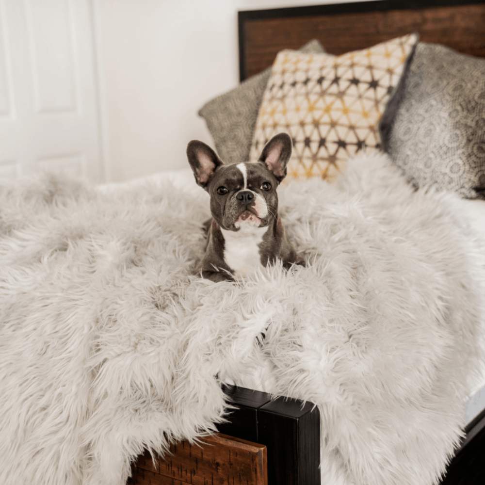 A small dog sits on a bed adorned with the Paw PupProtector™ Waterproof Throw Blanket - Grey