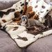 A small dog sits on a grey couch adorned with the Paw PupProtector™ Waterproof Throw Blanket - Brown Faux Cowhide Chew Proof Dog Blanket