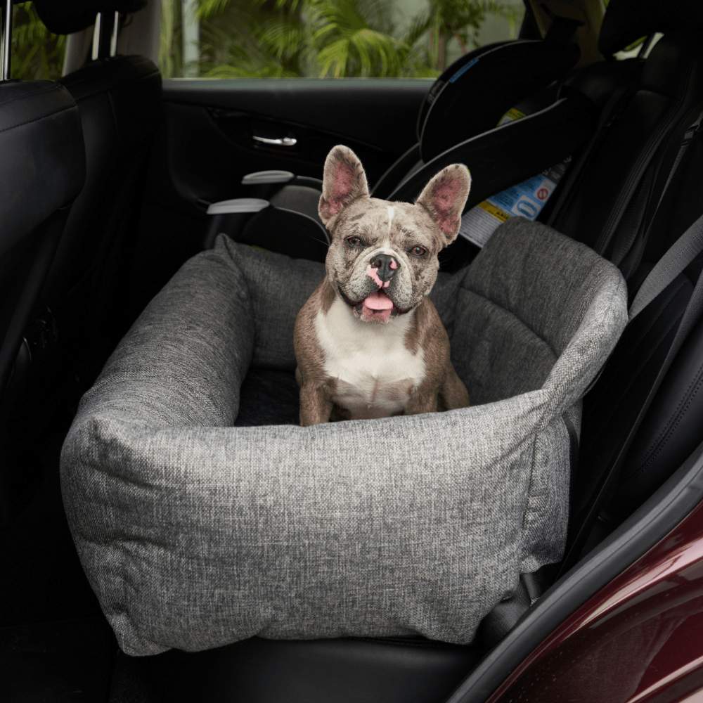 A small grey and white dog with big ears is sitting in the back seat of a car on a Paw PupProtector™ Memory Foam Dog Car Bed