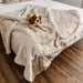 A small puppy is resting on a bed covered with the Paw PupProtector™ Short Fur Waterproof Throw Blanket - White with Brown Accents Dog Blankets