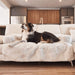 A tricolor dog is lying on the Paw PupProtector™ Waterproof Couch Lounger - Polar White placed on a white couch in a modern living room