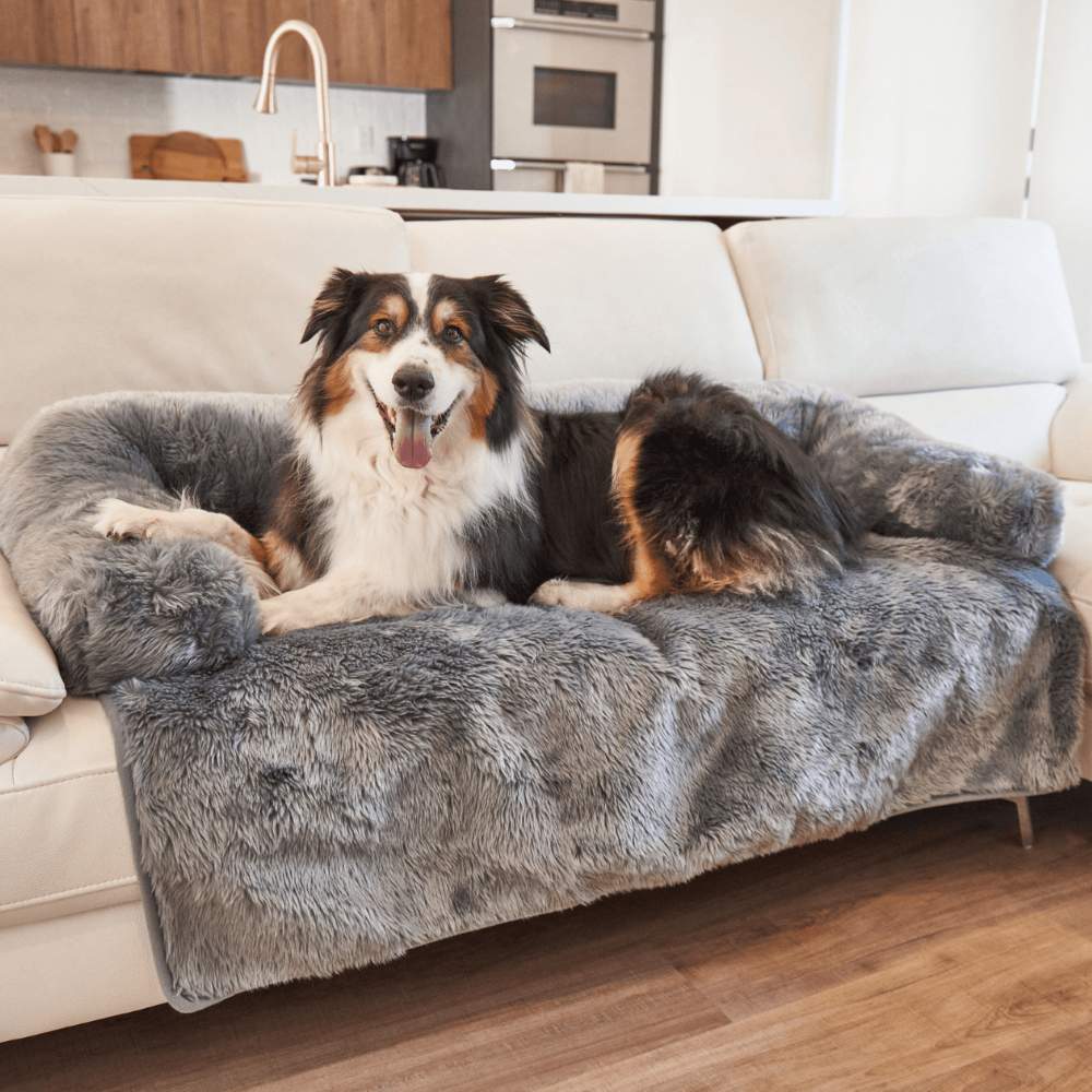 A tricolor dog is relaxing and looking at the camera while lying on the Paw PupProtector™ Waterproof Couch Lounger - Charcoal Grey