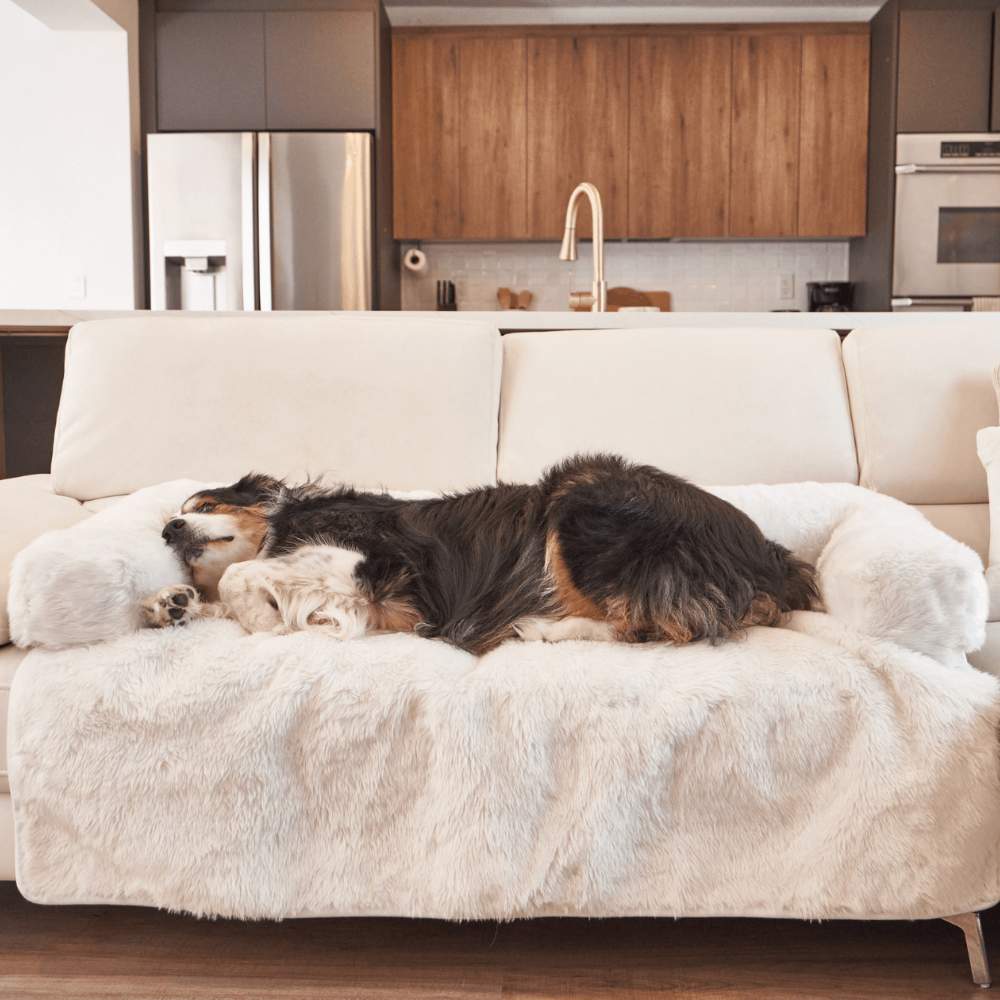 A tricolor dog is sleeping soundly on the Paw PupProtector™ Waterproof Couch Lounger - Polar White in a modern living room