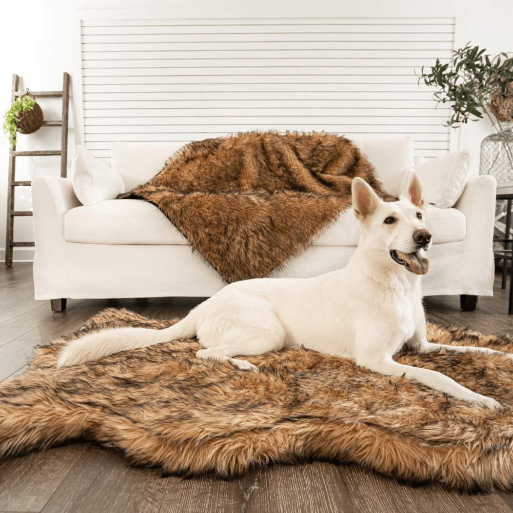 A white German Shepherd relaxing on a Curve Sable Tan Paw PupRug Faux Fur Orthopedic Dog Bed in a well-decorated living room