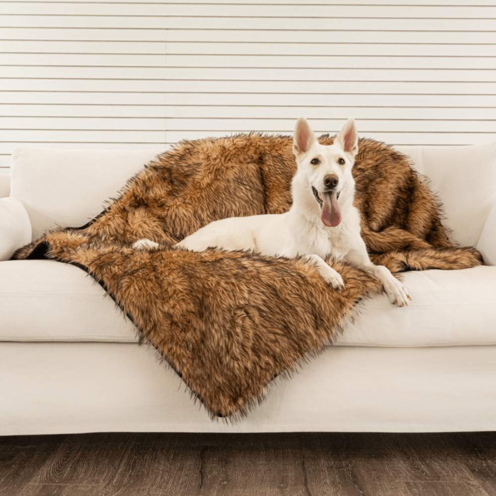 A white dog is comfortably lying on a couch covered with a Paw PupProtector™ Waterproof Throw Blanket - Sable Tan Dog Proof Blanket