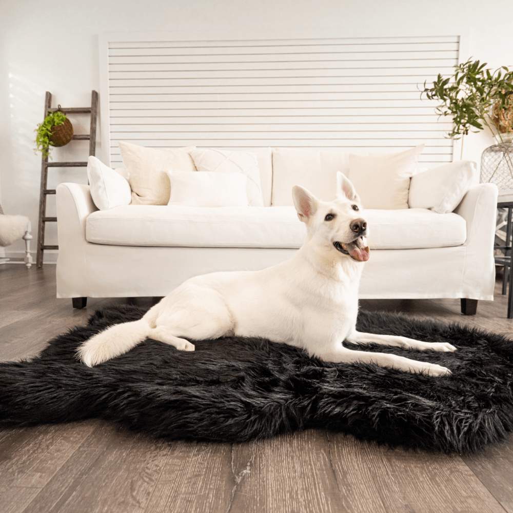 A white dog is comfortably resting on the Curve Midnight Black Paw PupRug Faux Fur Orthopedic Dog Bed in a well-lit modern living room