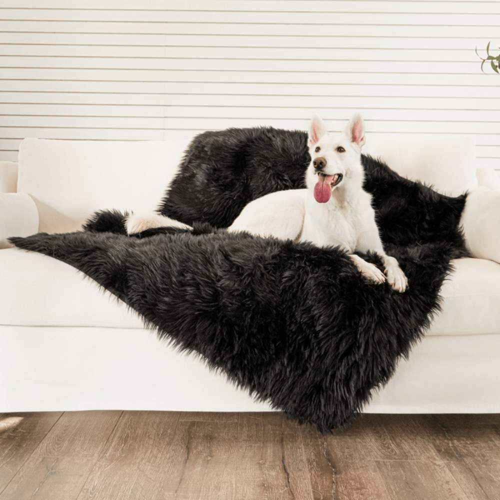 A white dog is lounging on a couch with a Paw PupProtector™ Waterproof Throw Blanket - Midnight Black Blanket Dog