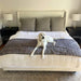 A white labrador is comfortably lying on a bed with the Paw PupProtector™ Waterproof Bed Runner - Ultra Soft Chinchilla