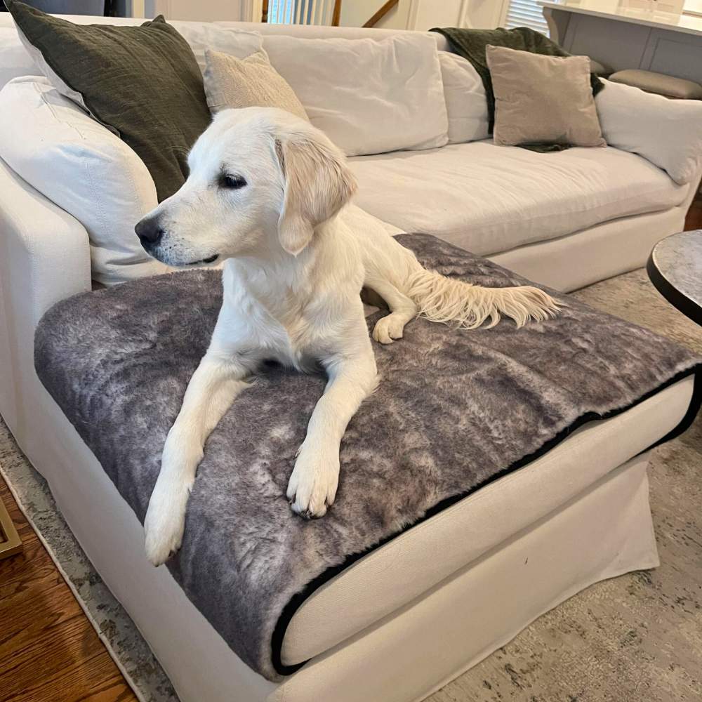 A white labrador is resting on a sofa covered with the Paw PupProtector™ Waterproof Bed Runner - Ultra Soft Chinchilla