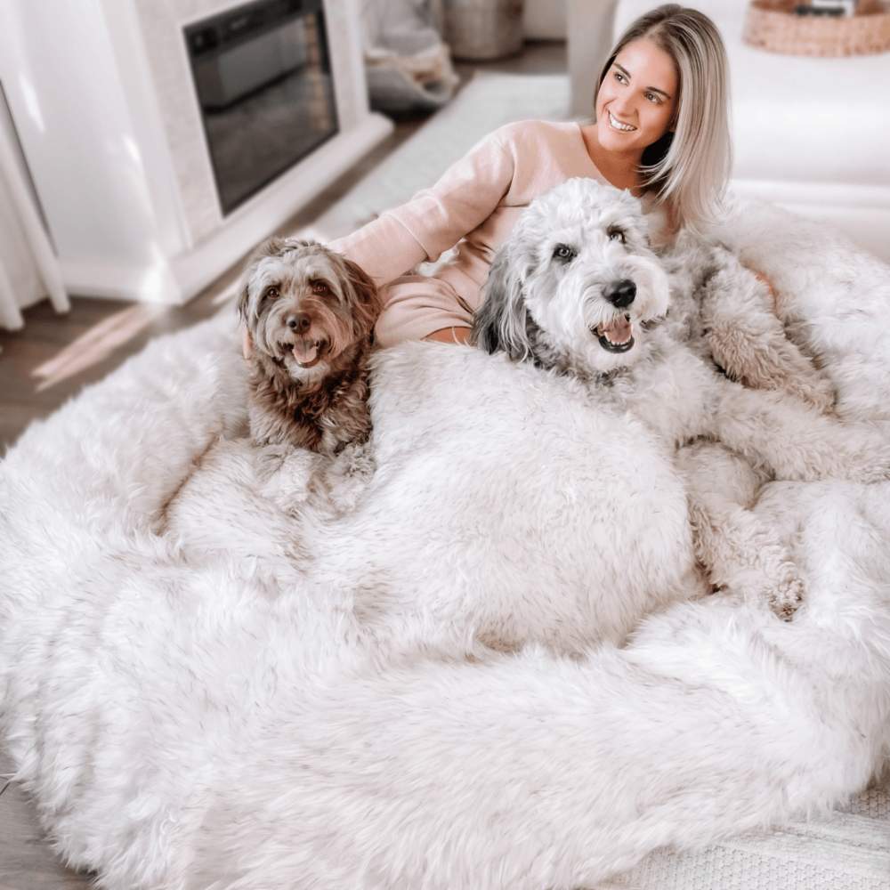 A woman and two dogs enjoy the soft and spacious White with Brown Accents Paw PupCloud™ Human-Size Faux Fur Memory Foam Dog Bed in a cozy, well-lit living room
