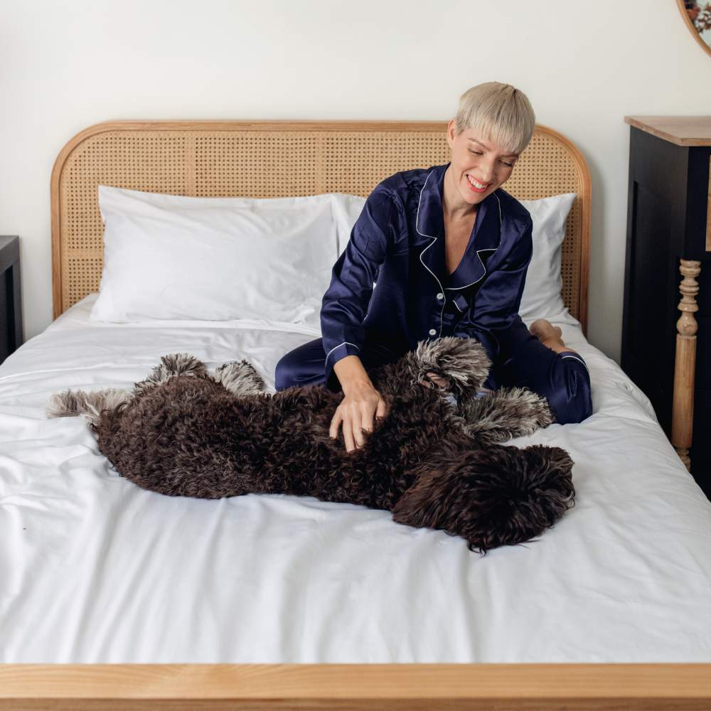 A woman in navy pajamas sits on a bed with a large dog, both enjoying the comfort of the Paw PupSheets™ Hair Resistant, Antimicrobial, & Cooling Duvet Cover and Sham Set - White