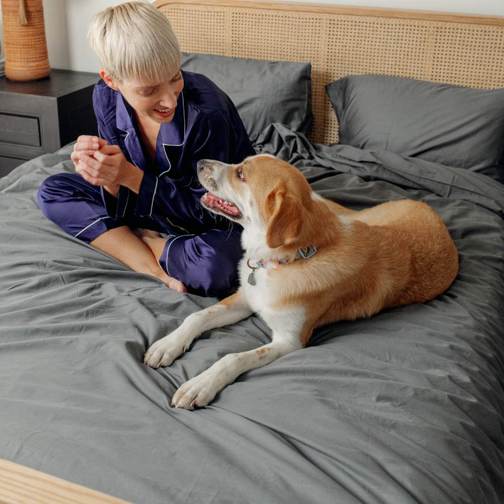 A woman in pajamas interacts with her dog on a bed covered with the Paw PupSheets™ Hair Resistant, Antimicrobial, & Cooling Duvet Cover and Sham Set - Graphite