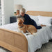 A woman in pajamas plays with two dogs on a bed made with the Paw PupSheets™ Hair Resistant, Antimicrobial, & Cooling Duvet Cover and Sham Set - White