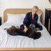 A woman in pajamas sitting on a bed, petting her large dog who is lying comfortably on the Paw PupSheets™ Hair Resistant, Antimicrobial, & Cooling Duvet Cover and Sheet Set Bundle - White
