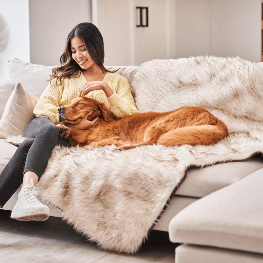 A woman is sitting on a couch with her golden retriever, both enjoying the comfort of the Paw PupProtector™ Waterproof Throw Blanket - White with Brown Accents