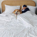 A woman lying in bed with a dog beside her, both looking comfortable and cozy under the Paw PupSheets™ Hair Resistant, Antimicrobial, & Cooling Duvet Cover and Sheet Set Bundle - White