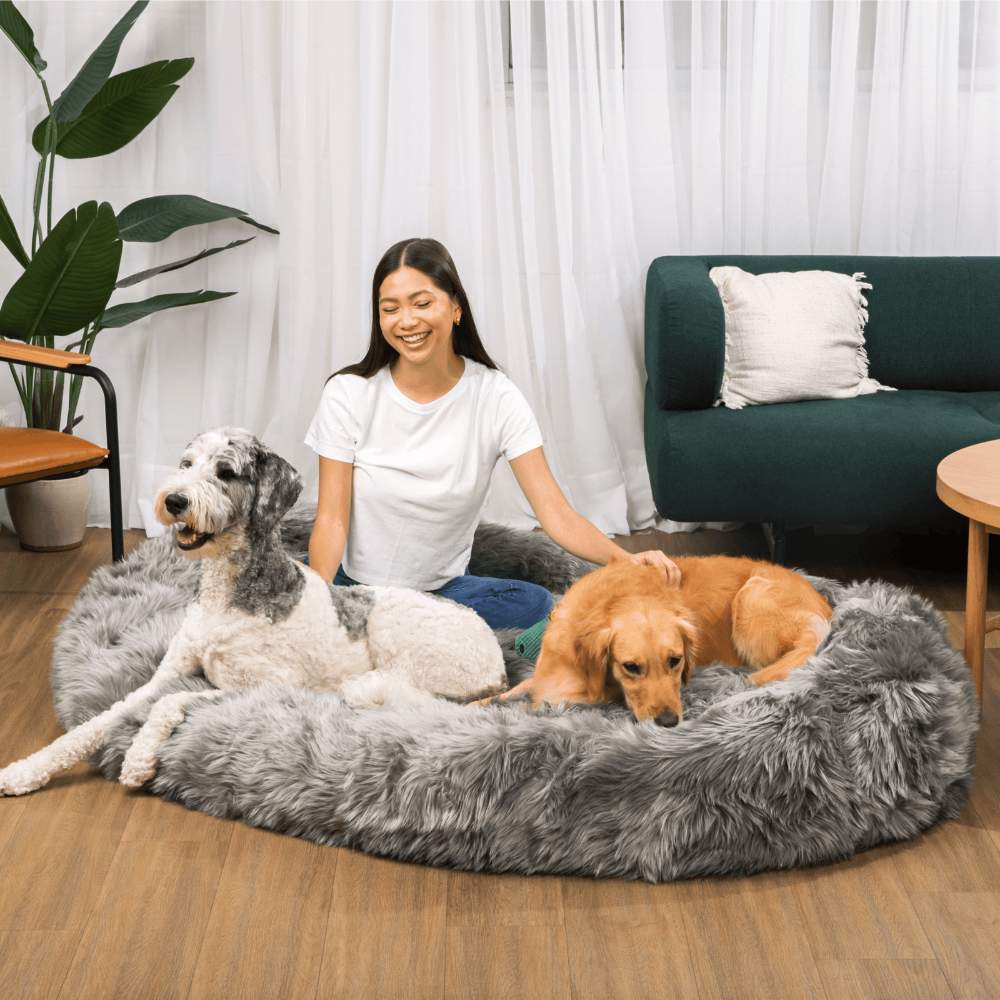 A woman sits happily with her two dogs on a Charcoal Grey Paw PupCloud™ Human-Size Faux Fur Memory Foam Dog Bed in a cozy living room setting