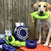 A yellow labrador retriever is surrounded by various products, holding a green WetMutt Dog Toy - Buoy in its mouth