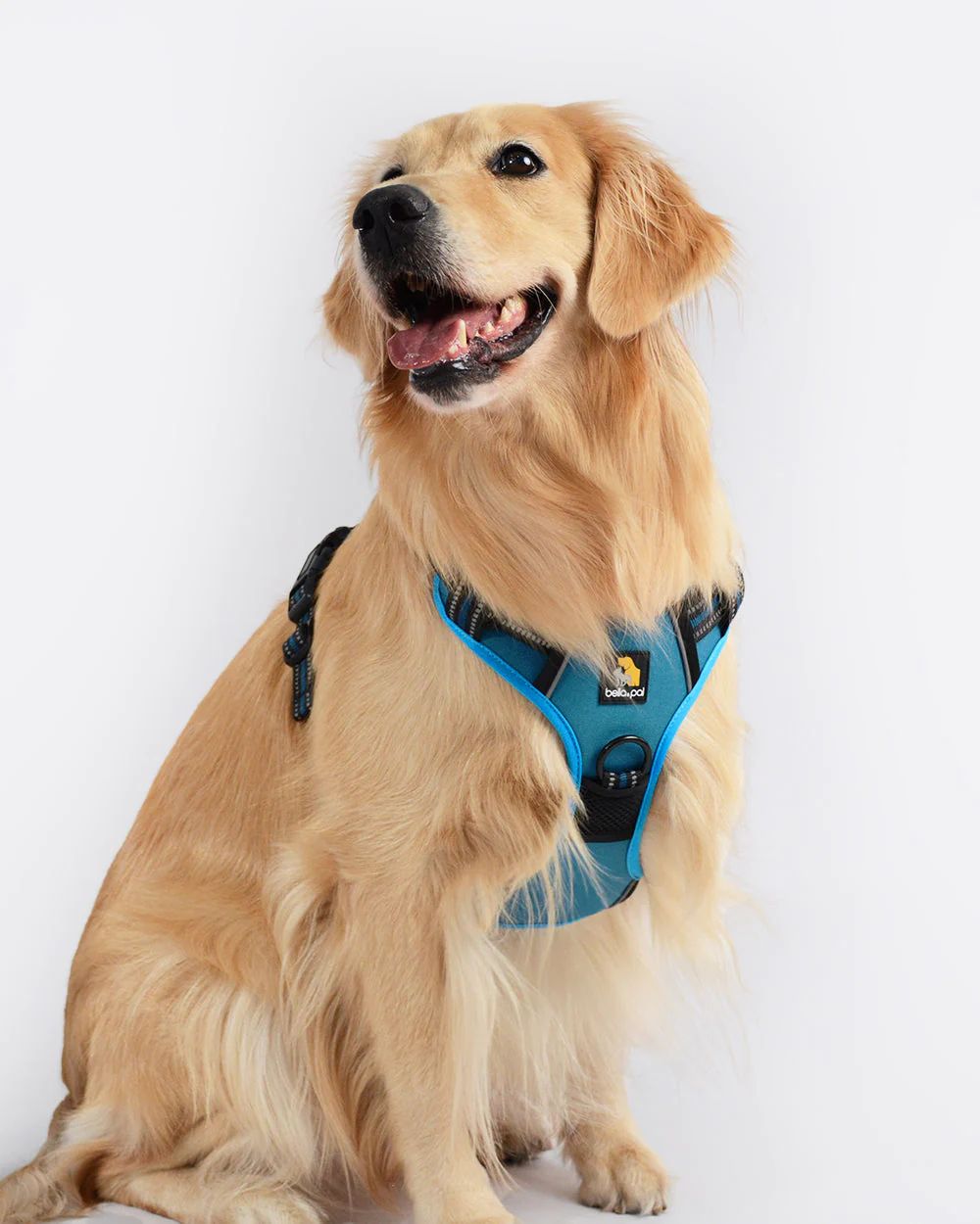 Bella & Pal Smart Pro No Pull Dog Harness Yale Blue Actual