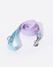 Bella & Pal Aqua PVC Waterproof Martingale Collar and Leash Set Lavender Blue Leash