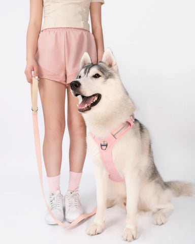 Bella & Pal Motion Pro No pull Dog Harness Crystal Pink Actual